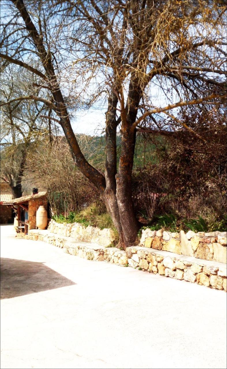 Casas Rurales Picos Del Oso Риопар Экстерьер фото