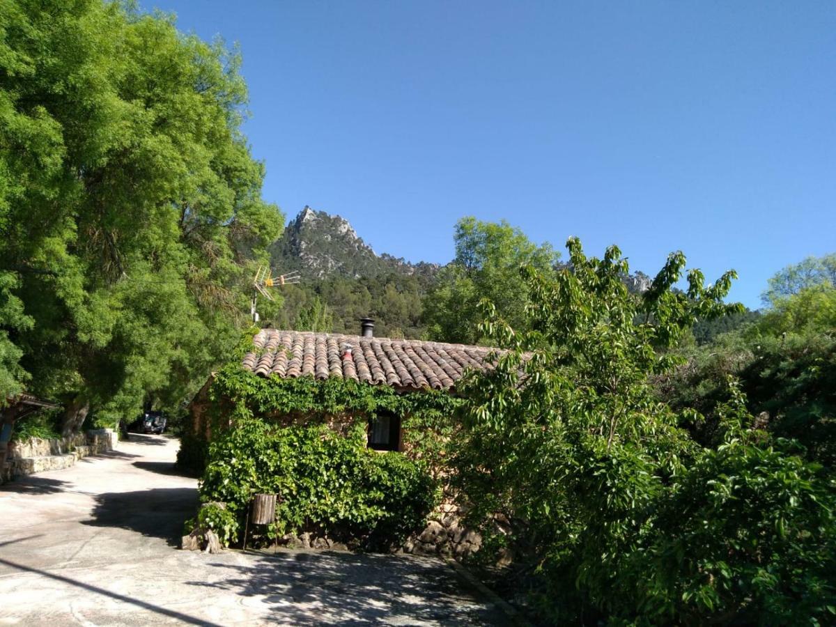 Casas Rurales Picos Del Oso Риопар Экстерьер фото